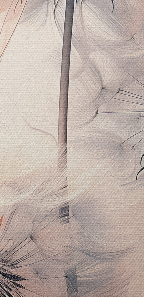 A group of dandelions with white and orange lines A group of dandelions with white and orange lines