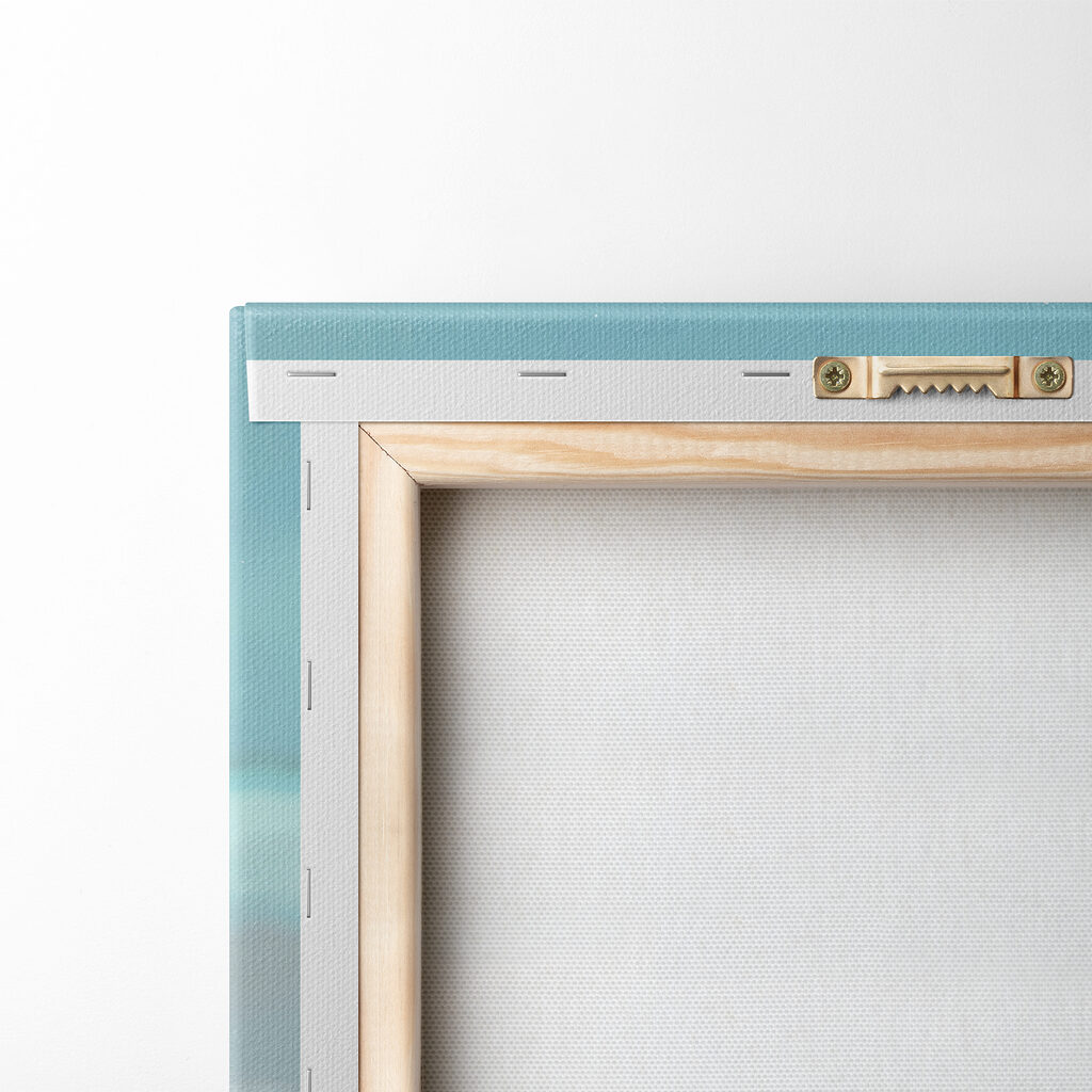 A group of shells and starfish on sand A group of shells and starfish on sand