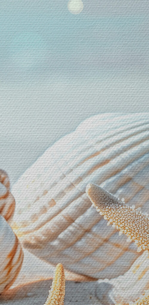 A group of shells and starfish on sand A group of shells and starfish on sand