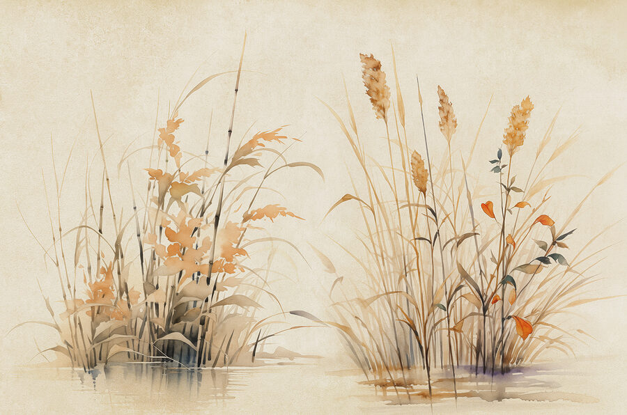 Aquarel van planten