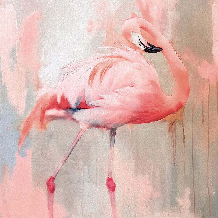 Roze flamingo met lange poten