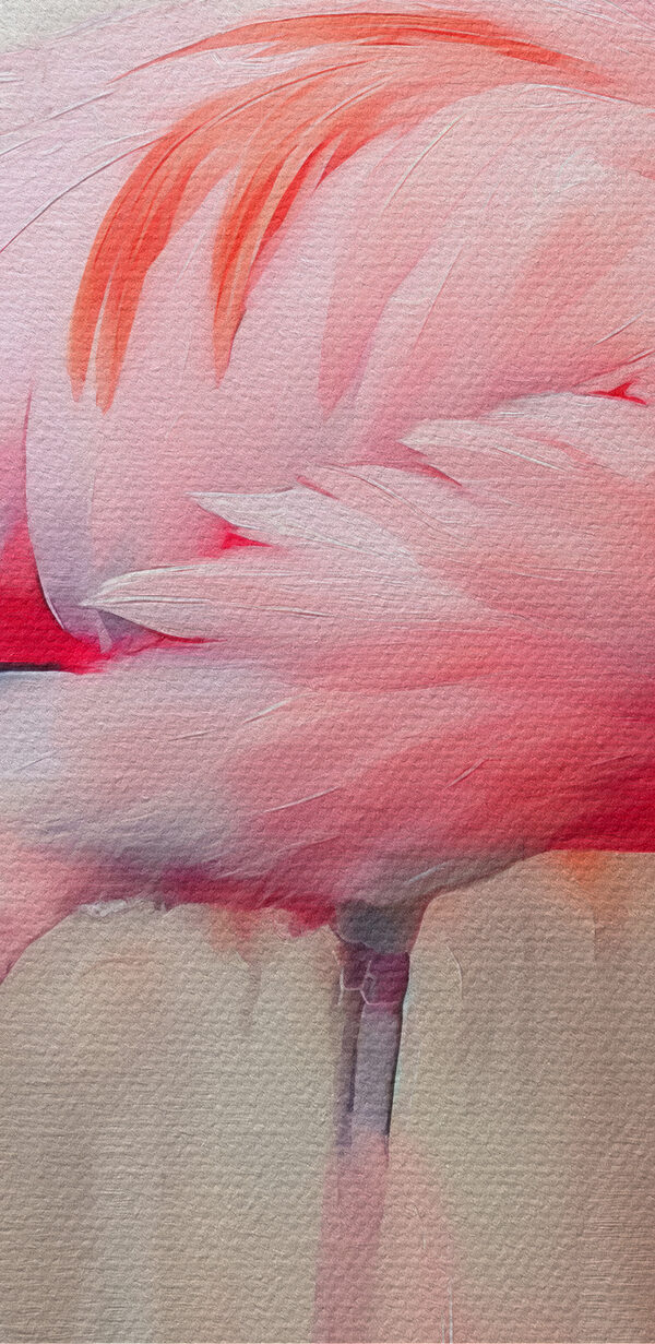 Roze flamingo met lange poten Roze flamingo met lange poten