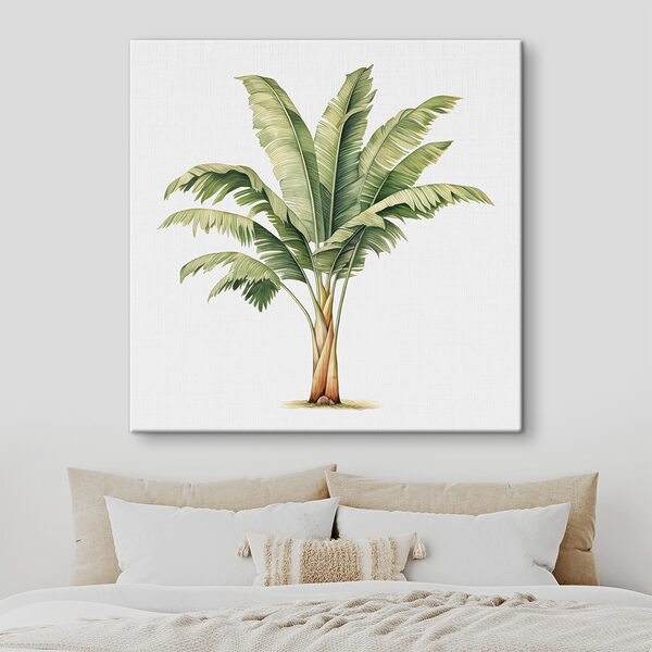 Palmboom met grote bladeren Palmboom met grote bladeren