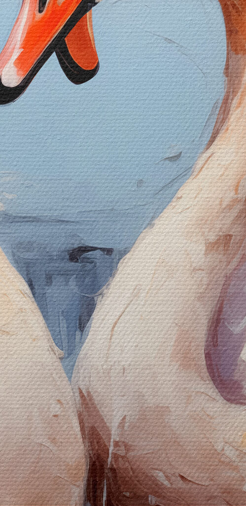 Two swans in the water