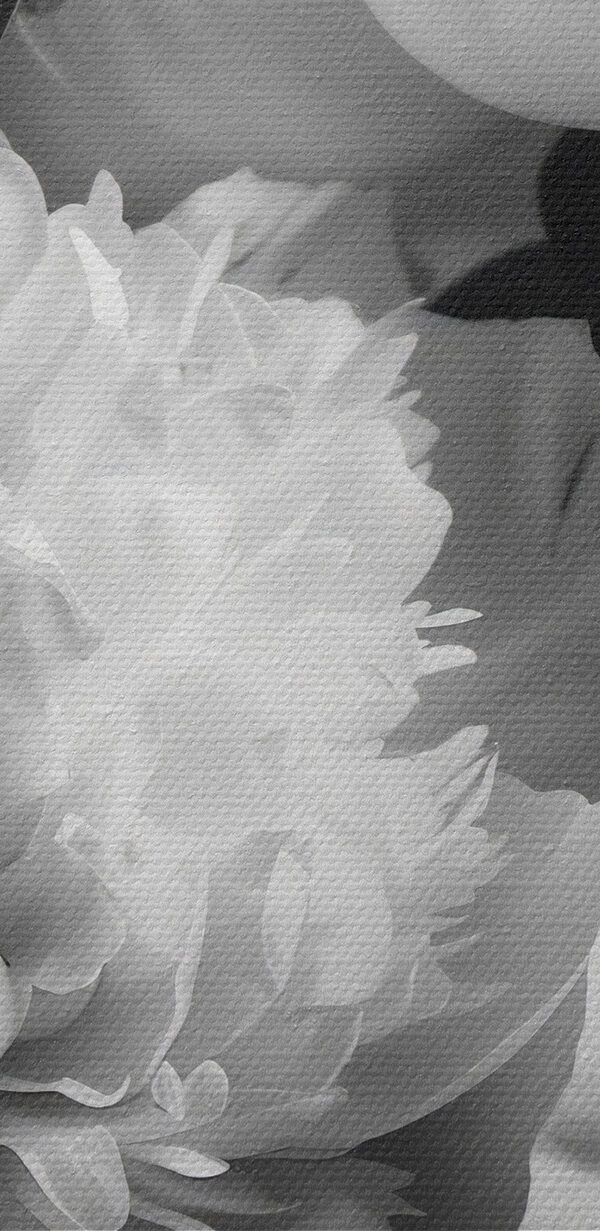 Groep witte bloemen Groep witte bloemen
