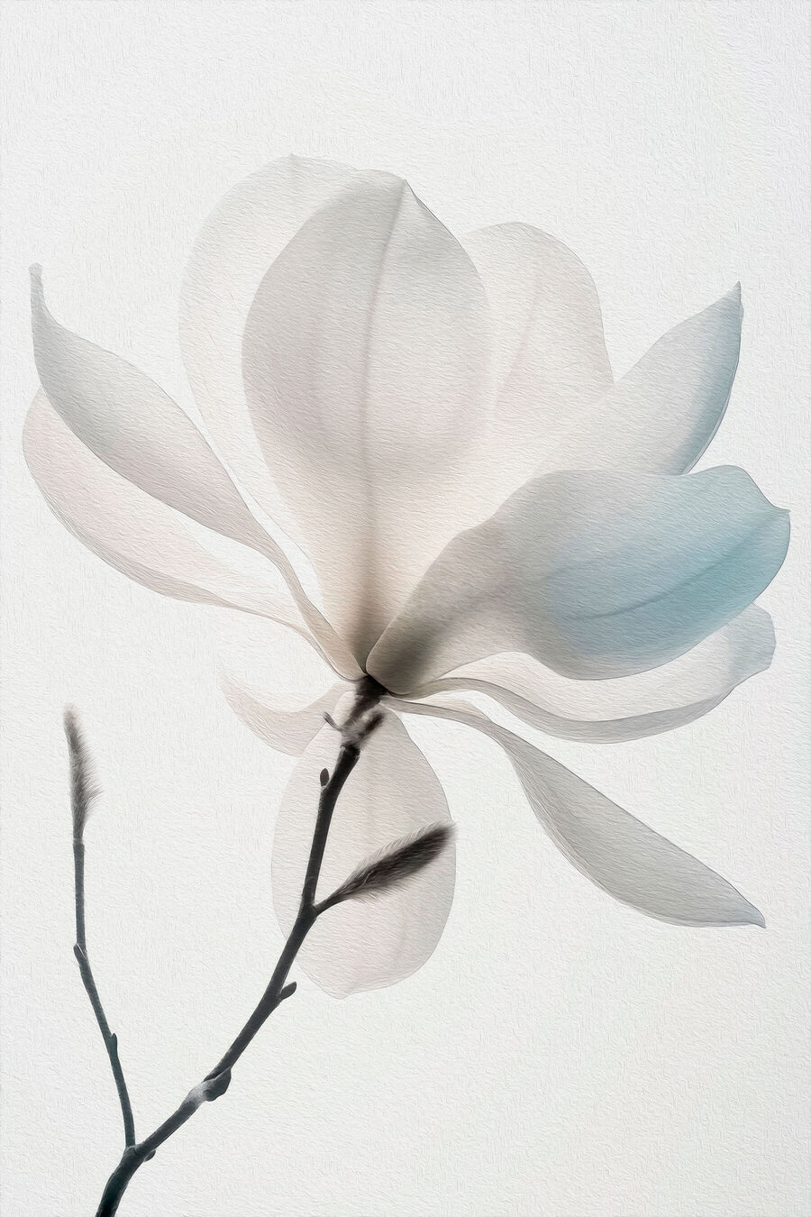 Witte bloem met bladeren