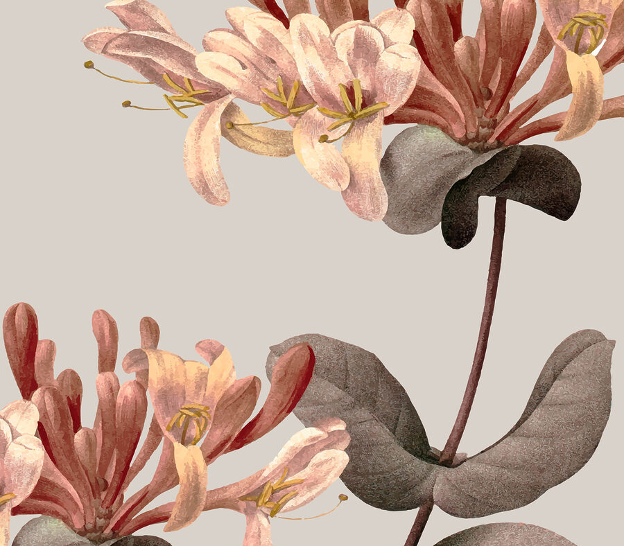 Close-up van bloemen