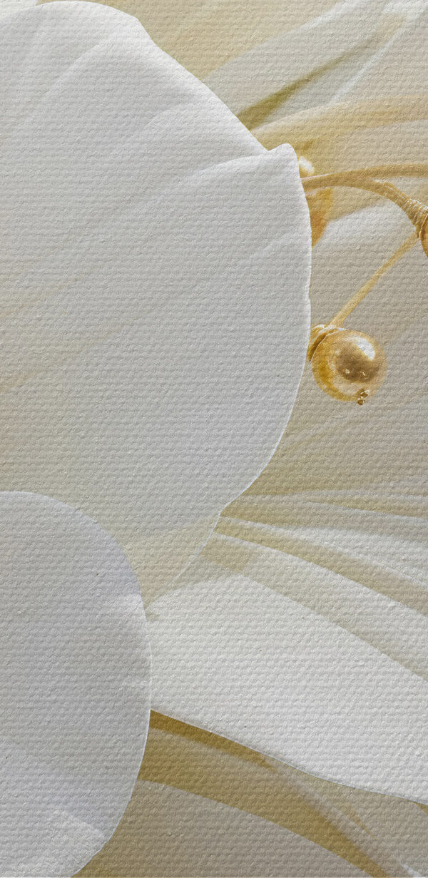 Close-up van een witte bloem Close-up van een witte bloem