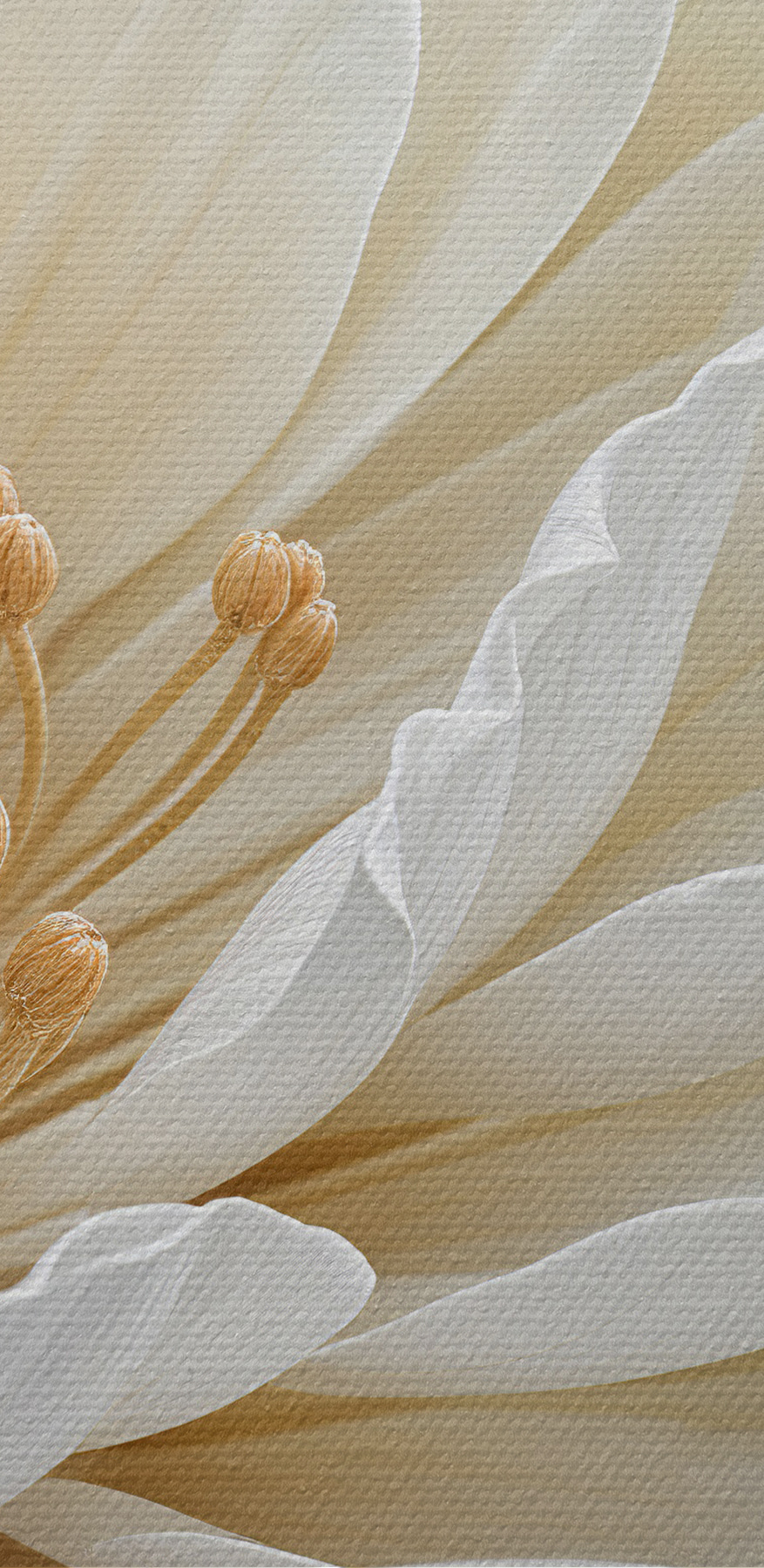 Close-up van een witte bloem