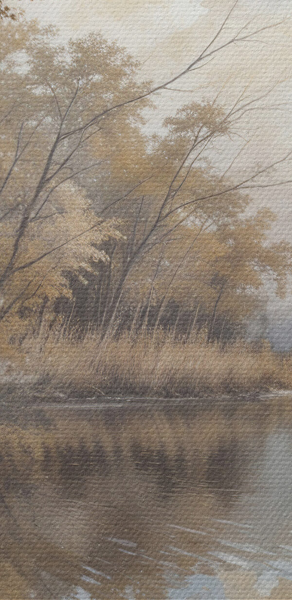 Rivier met bomen en struiken Rivier met bomen en struiken