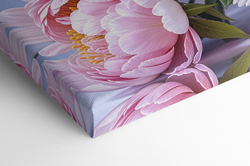 Groep roze en witte bloemen s39514pml 1024x683 - Groep roze en witte bloemen