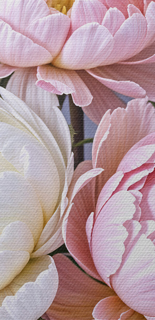 Groep roze en witte bloemen s39514pzvl 600x1231 - Groep roze en witte bloemen