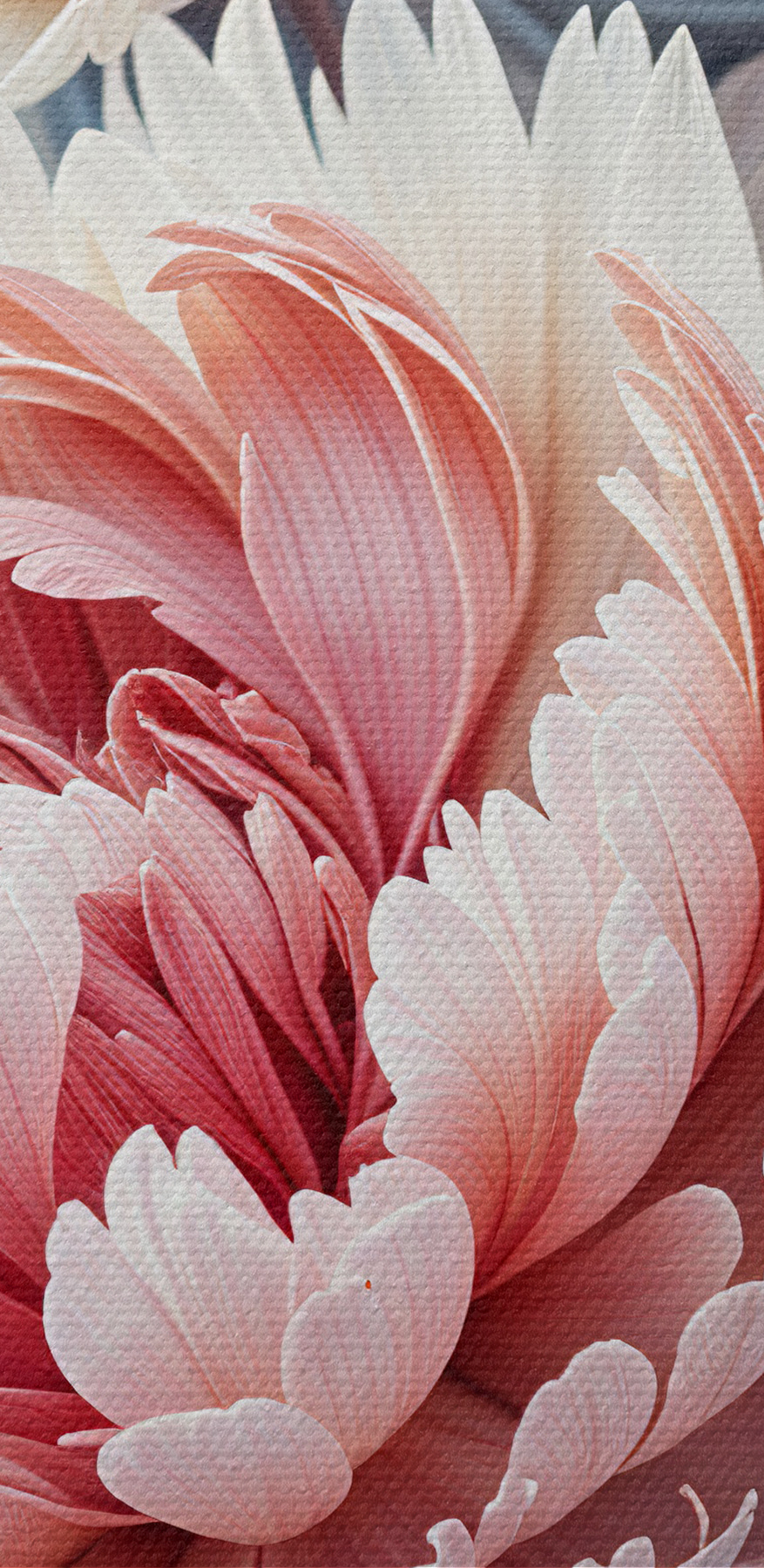 Close-up van bloemen
