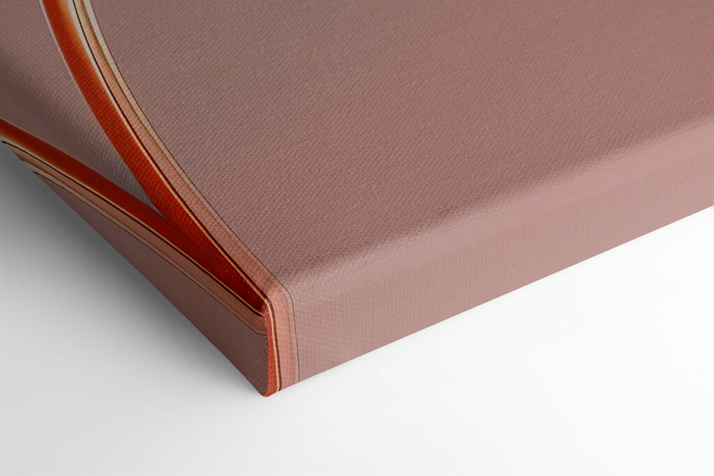 Close up of a flower