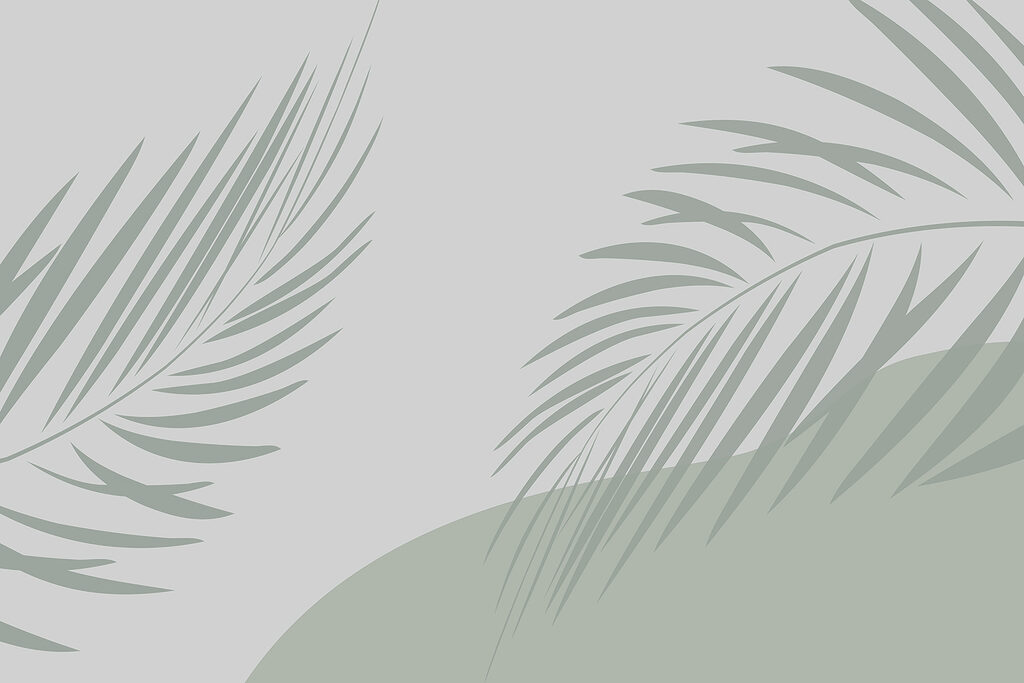Palmbladeren op een grijze achtergrond Palmbladeren op een grijze achtergrond