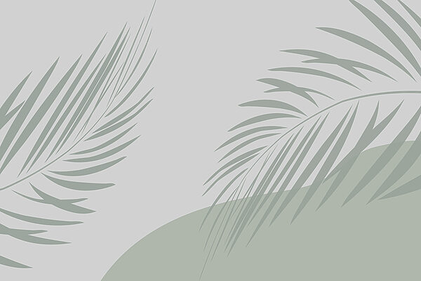 Palmbladeren op een grijze achtergrond Palmbladeren op een grijze achtergrond