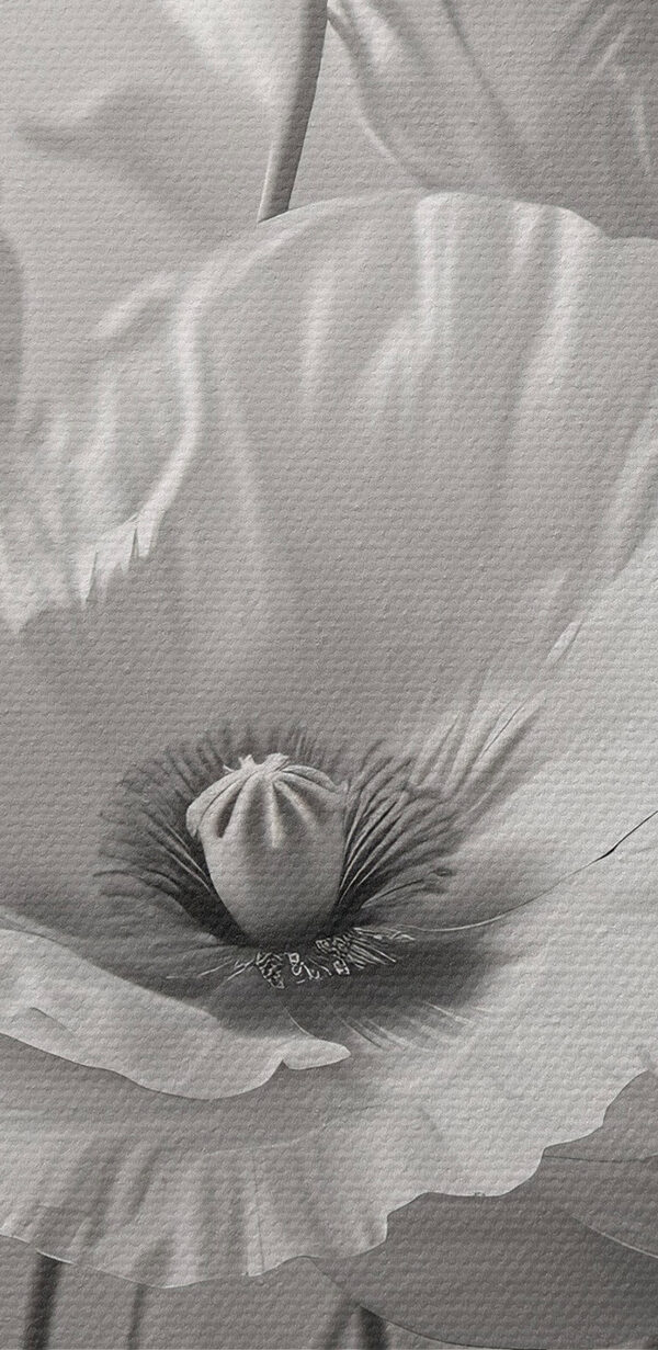 Groep witte bloemen Groep witte bloemen