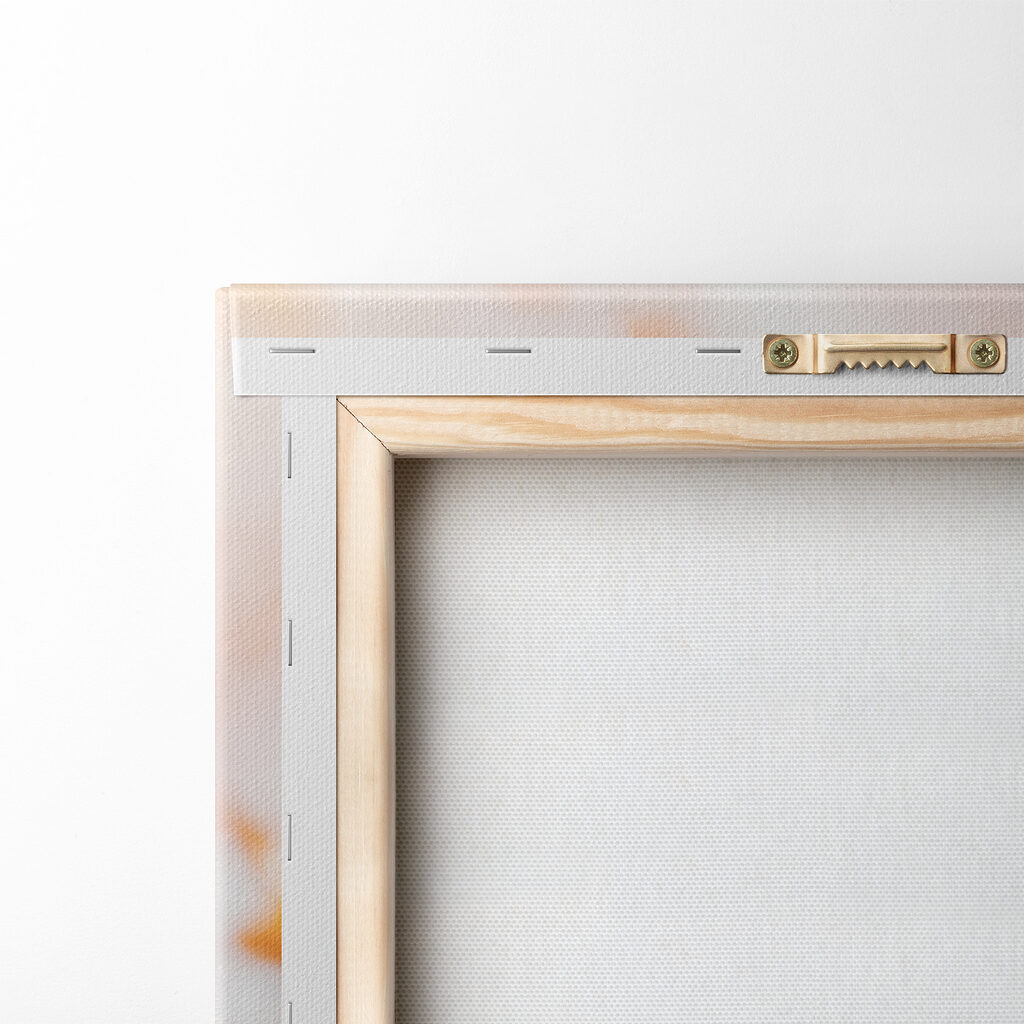 Butterfly on a flower