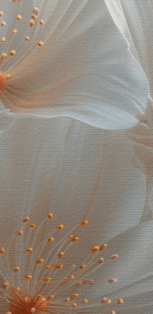 Group of white flowers