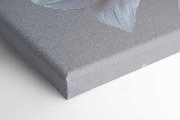 Groep witte bloemen Groep witte bloemen