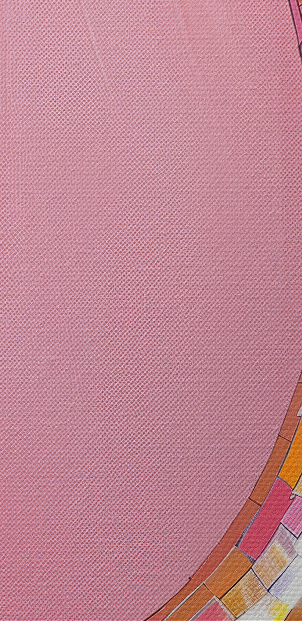 Kleurrijke spiegelbanaan op roze achtergrond Kleurrijke spiegelbanaan op roze achtergrond