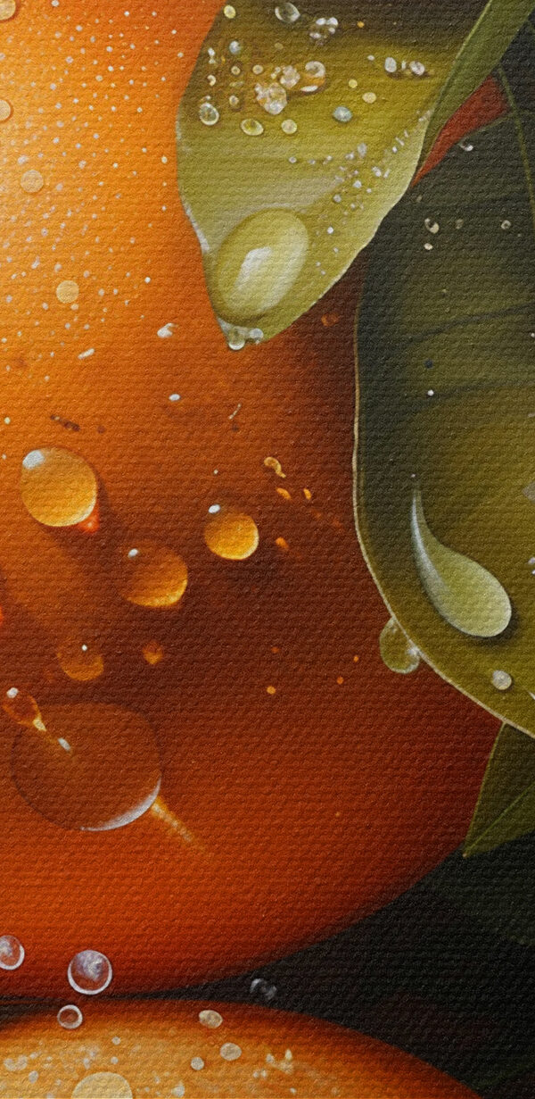 Group of oranges with leaves and slices of orange Group of oranges with leaves and slices of orange