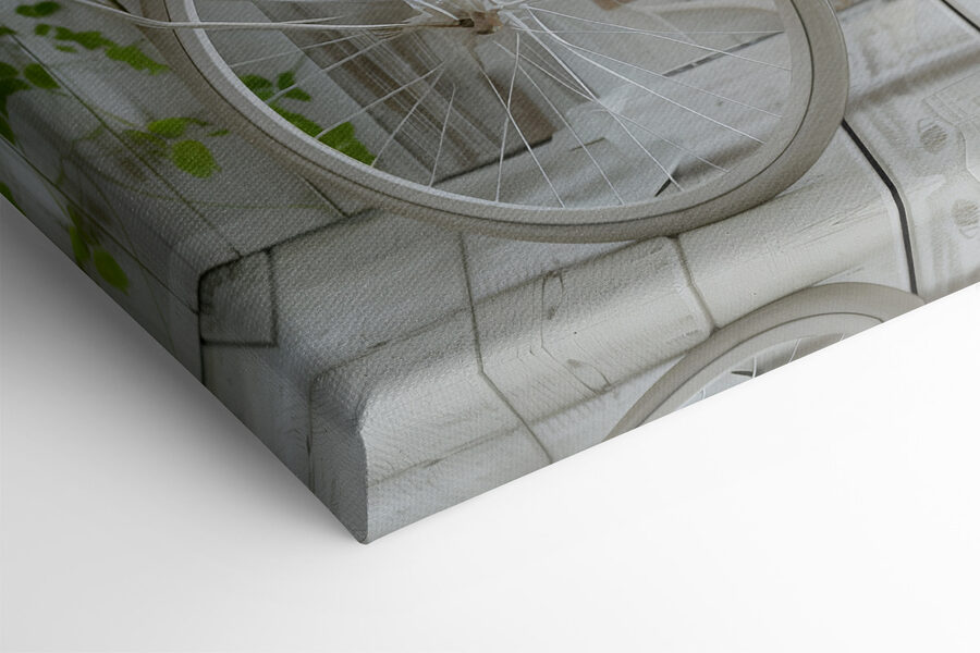 Fiets met bloemen in manden Fiets met bloemen in manden