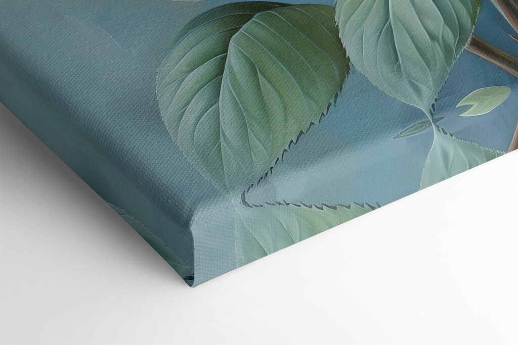 Close up of a flower