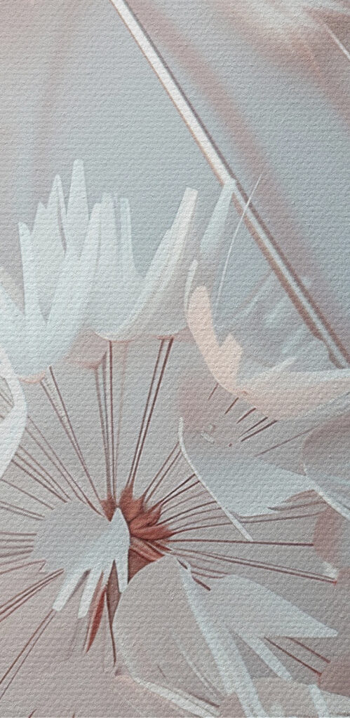 Close up of flowers