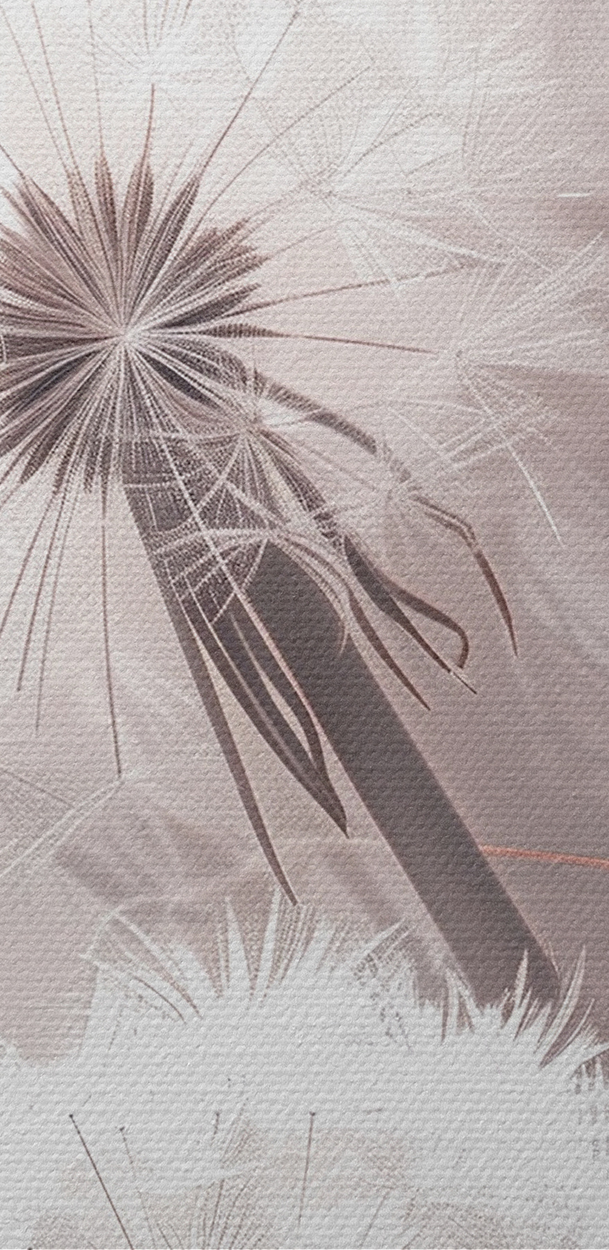 Close-up van een bloem