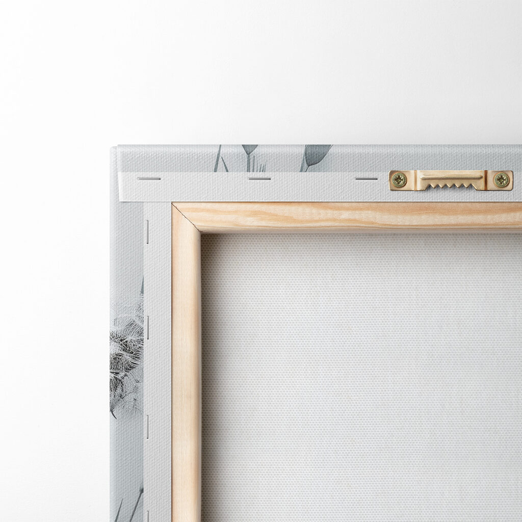 Close up of flowers Close up of flowers