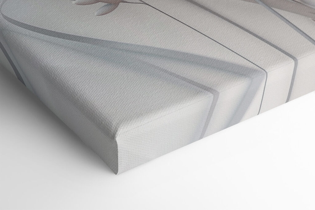 White flower with white leaves