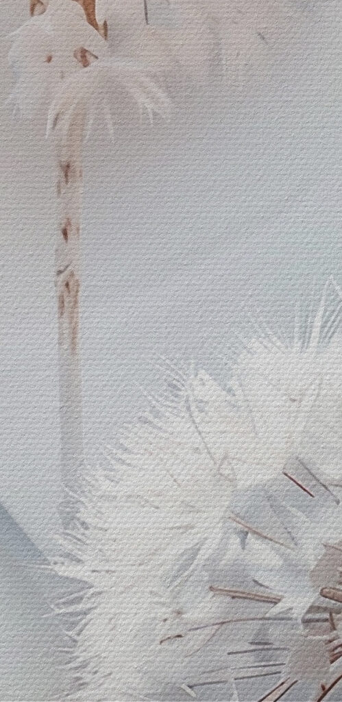 White flower with white leaves