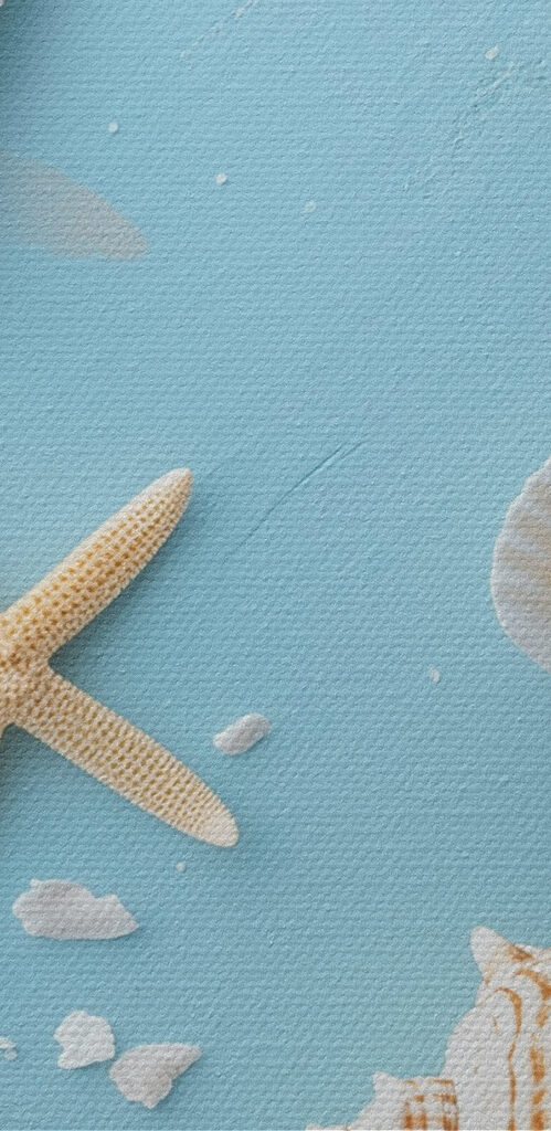 Group of seashells and starfish on sand Group of seashells and starfish on sand