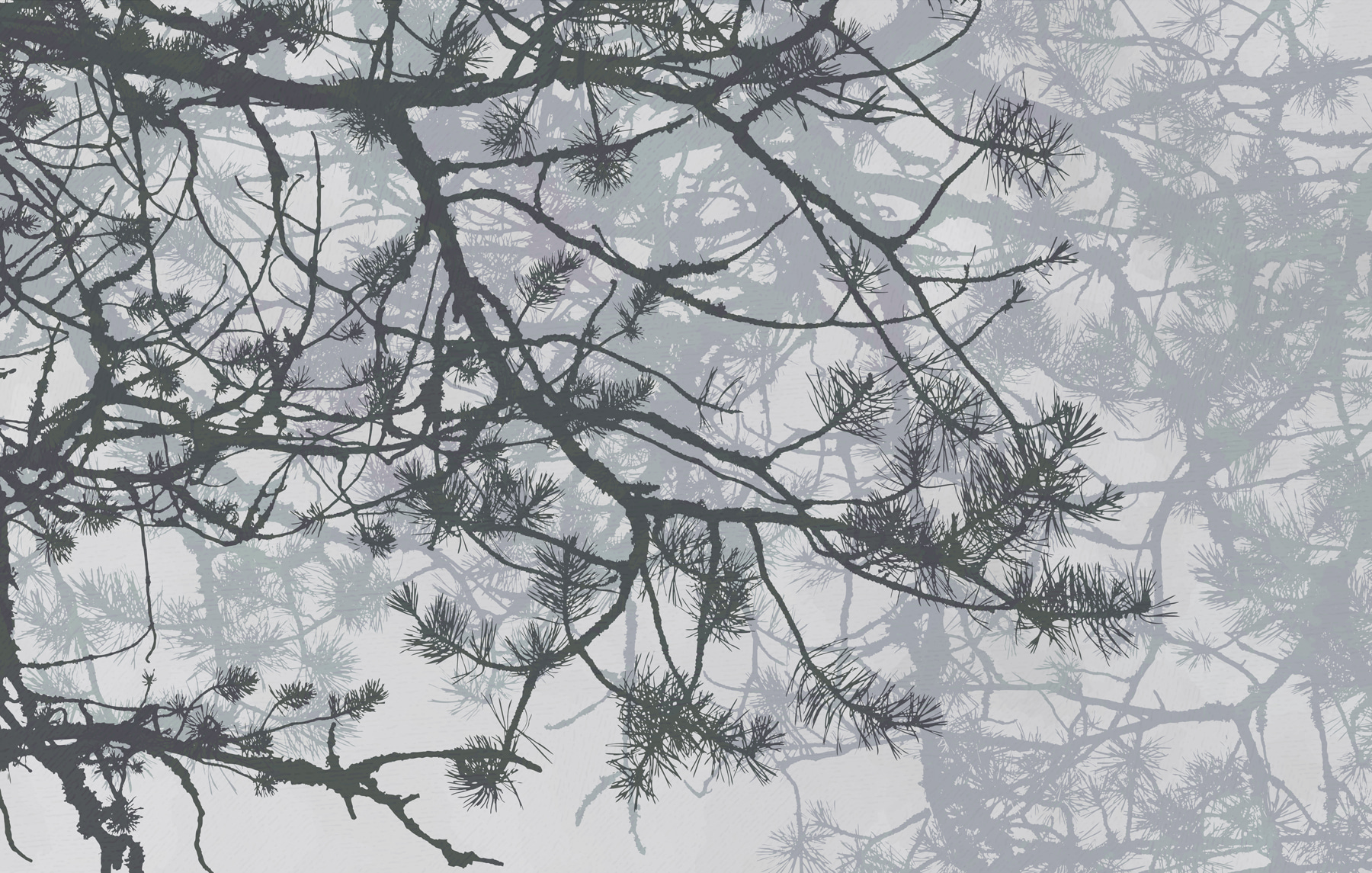Tree branches with needles
