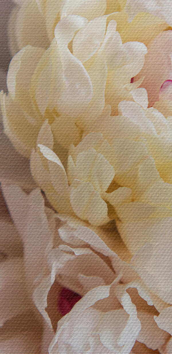 Close-up van een bloem Close-up van een bloem