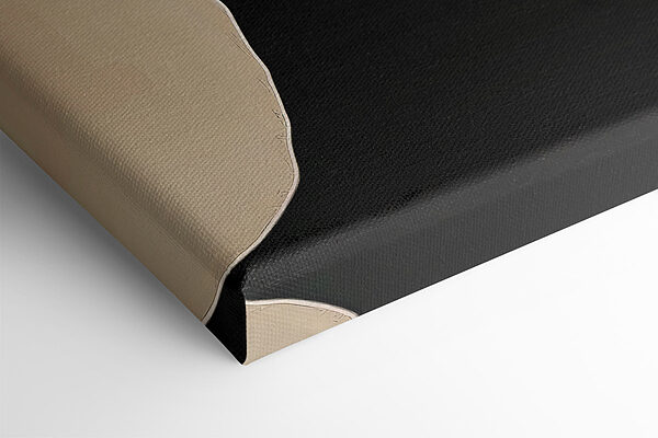 Abstracte elegantie met gedurfde streken. Abstracte elegantie met gedurfde streken.