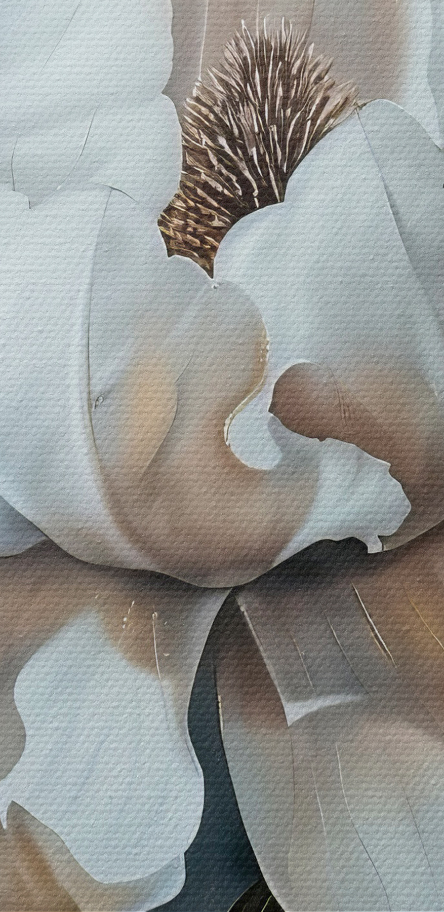 Witte bloem met bruine bladeren