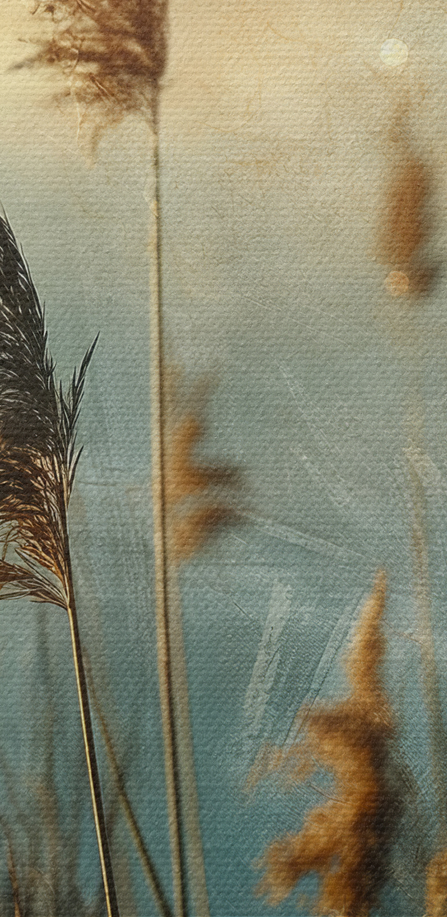 Close-up van hoog gras