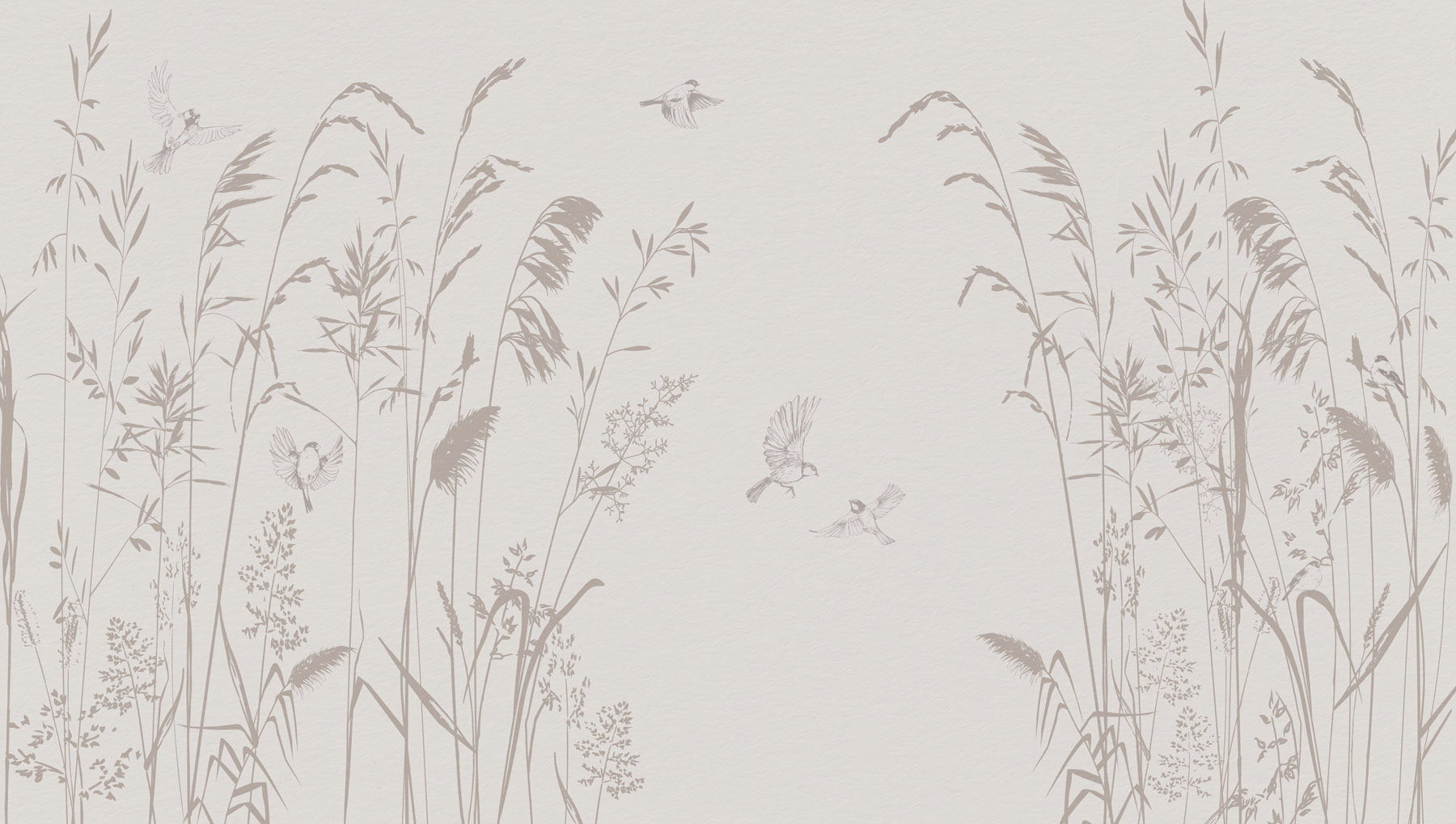 Birds flying over tall grass Birds flying over tall grass