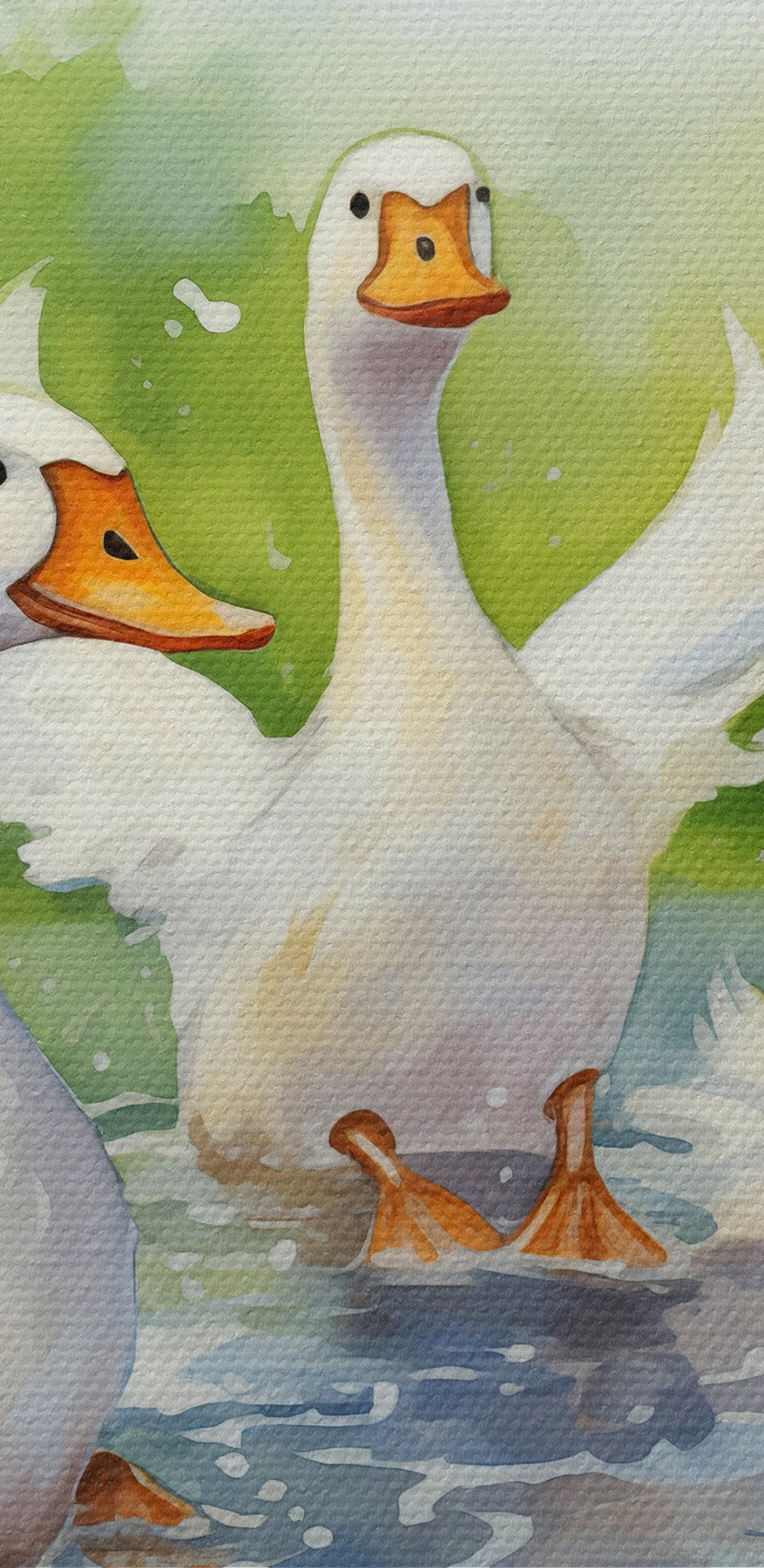 Groep witte eenden zwemmend in water