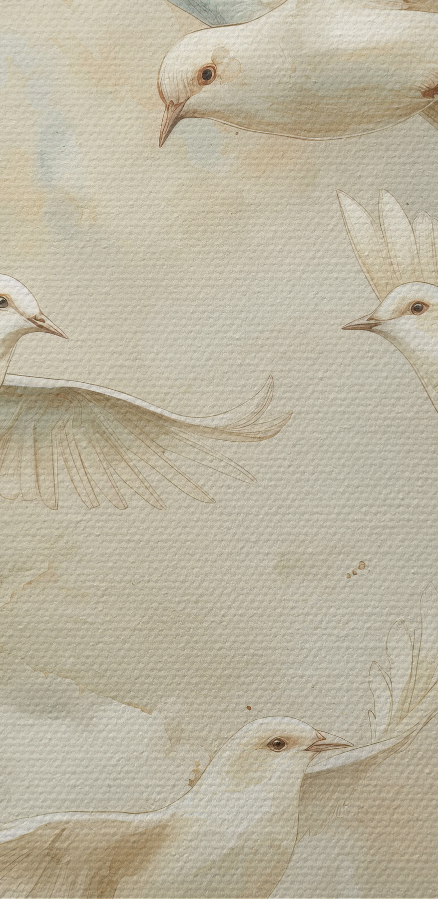 Groep witte vogels vliegend in de lucht