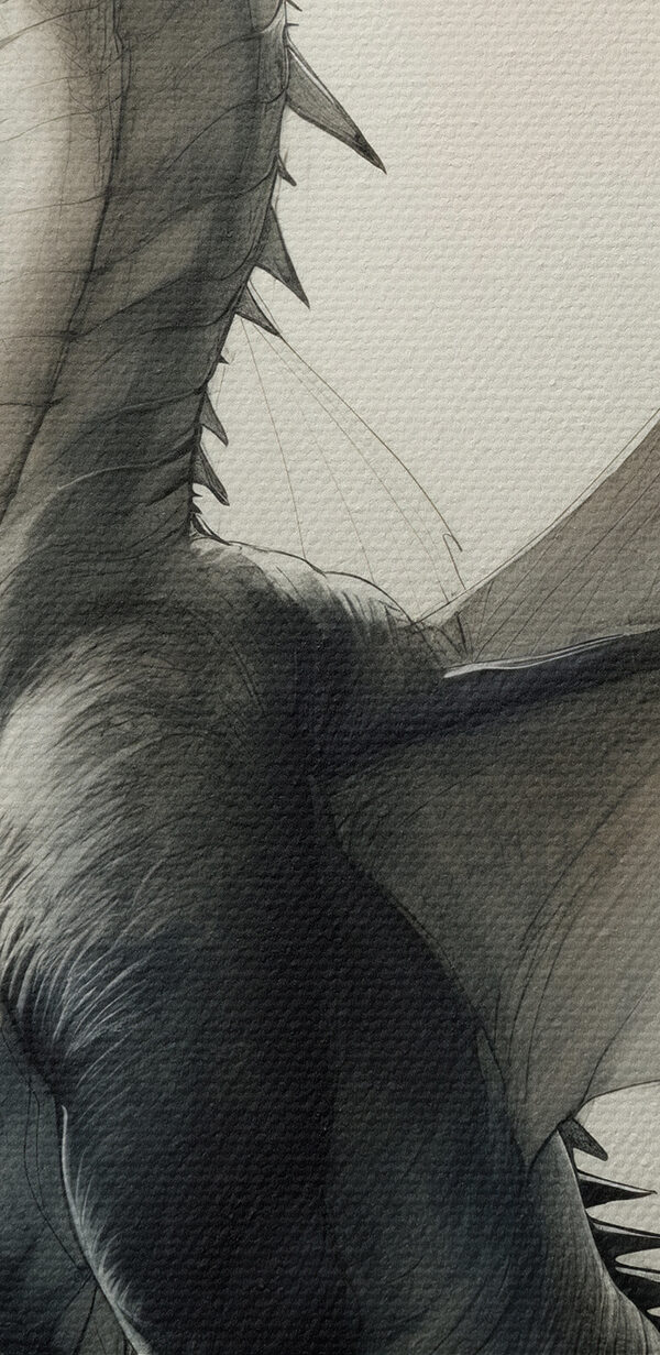 Tekening van een draak Tekening van een draak