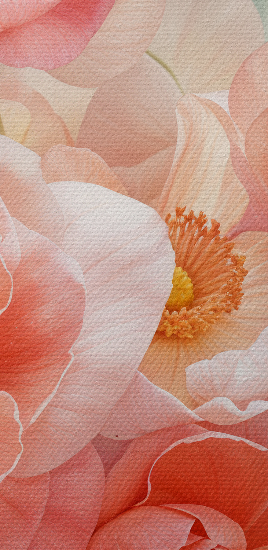 Groep roze bloemen