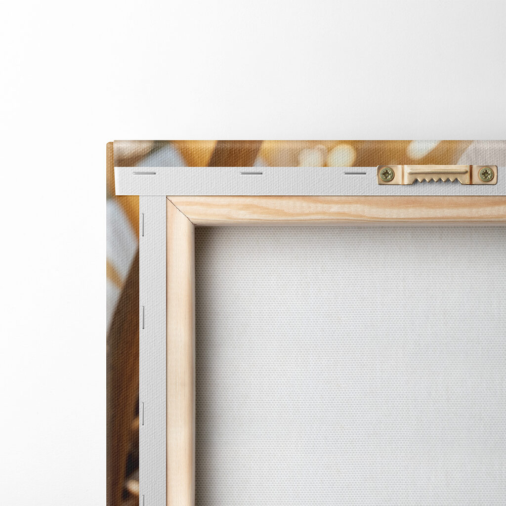 Close up of a flower Close up of a flower