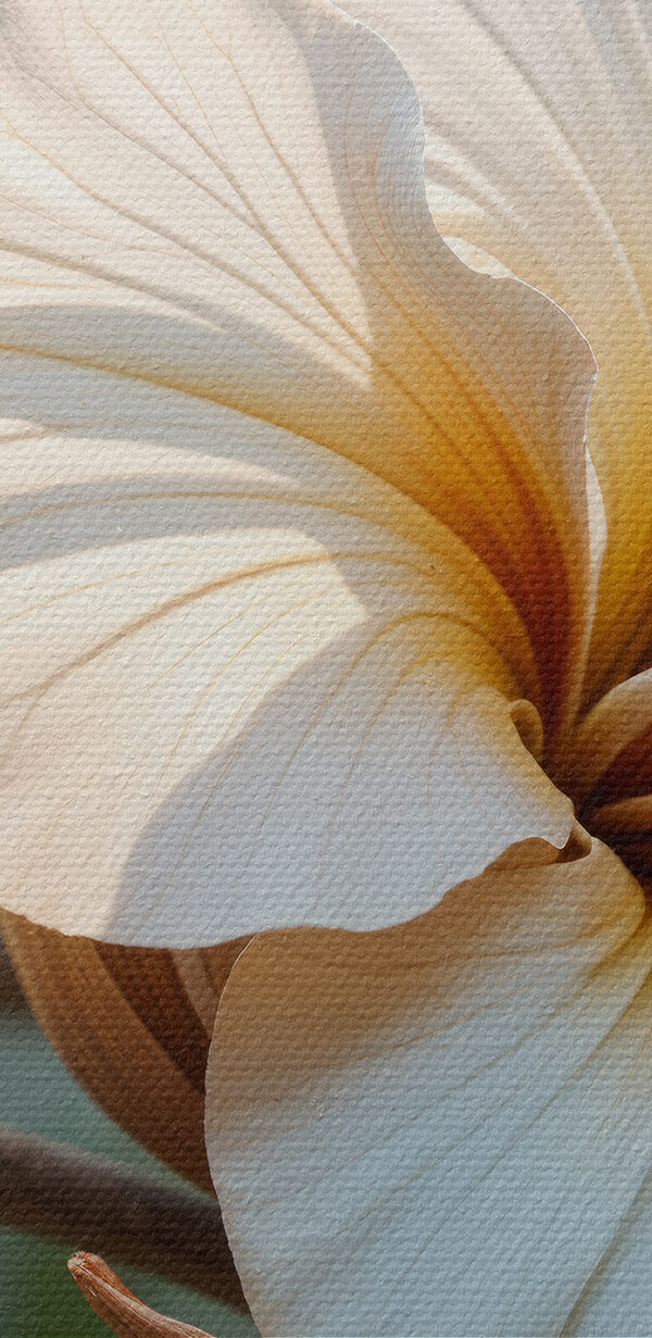 Close-up van een bloem Close-up van een bloem