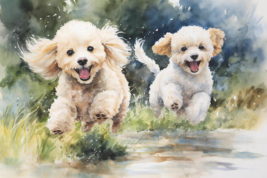 Twee honden springen in de lucht