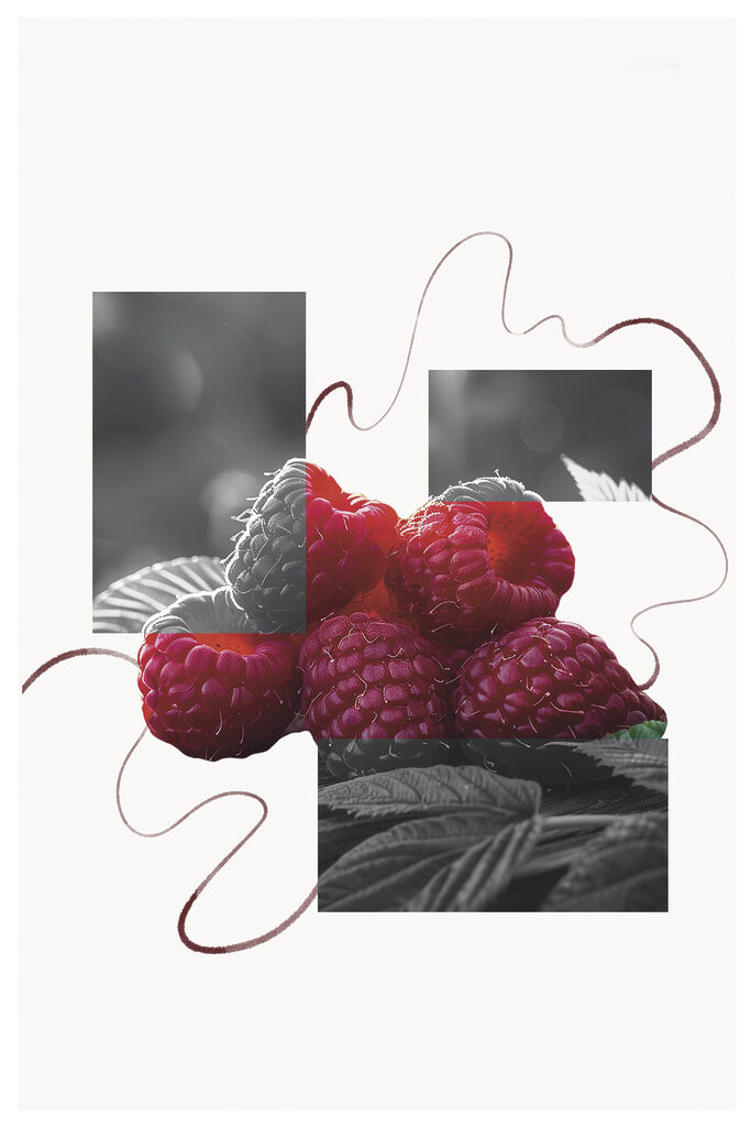 Group of raspberries with leaves