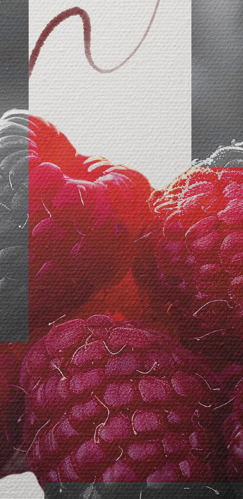 Group of raspberries with leaves