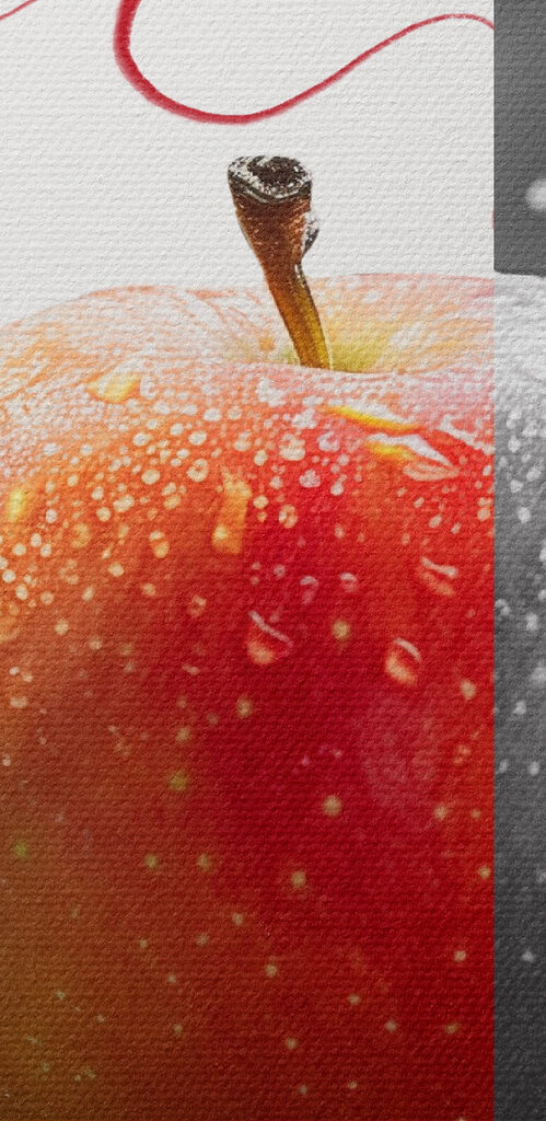 Red and grey apple Red and grey apple